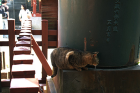 2007_p5042946