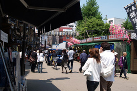2007_p5053021