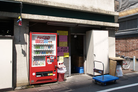 2007_p5053358