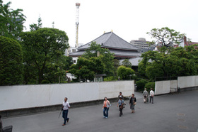 2007_p5133425
