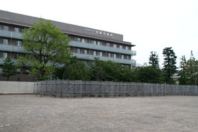 2007_p5133430