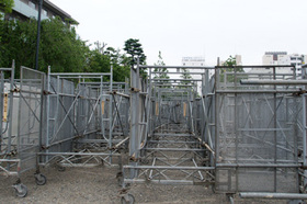 2007_p5133432