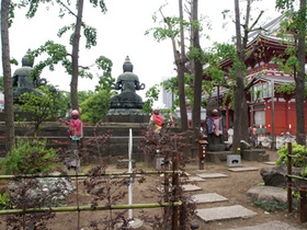 2007_p5133446