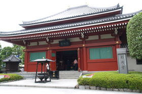 2007_p5133427