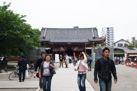 2007_p5133442