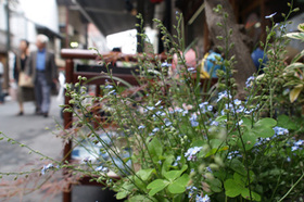 2007_p5133456