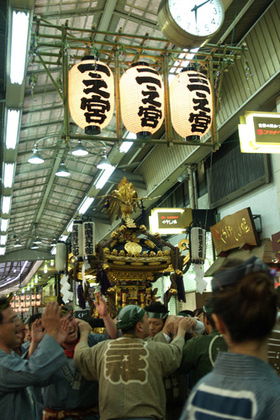 2007_p5183597