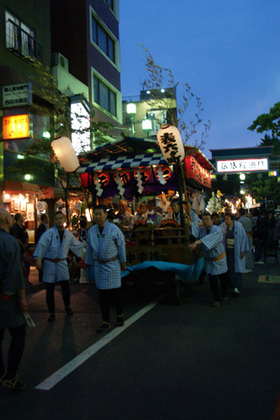 2007_p5183646