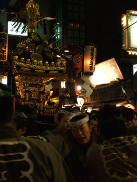 2007_p5183768