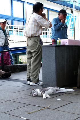 2007_p6037155