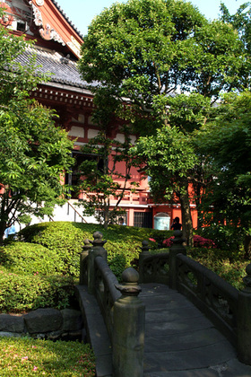 2007_p6077482