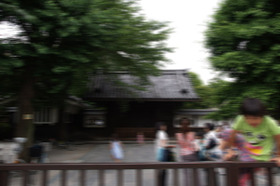 2007_p6077519