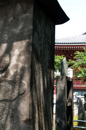 2007_p6087586
