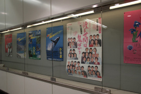 2007_p6087623