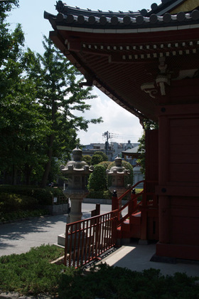 2007_p6087591