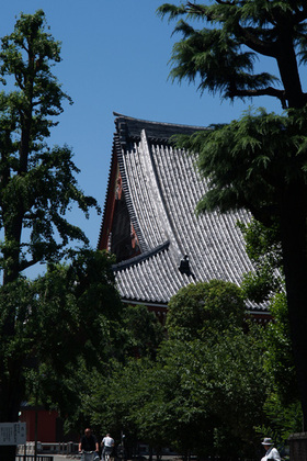 2007_p6167634