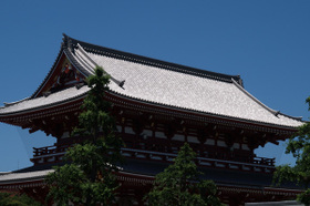 2007_p6167643