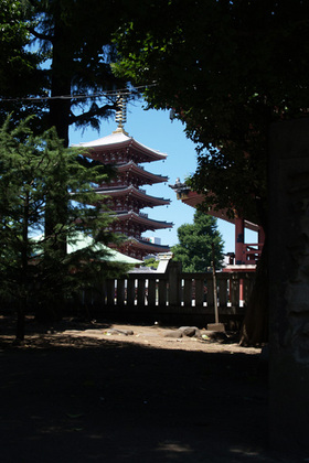 2007_p6167639