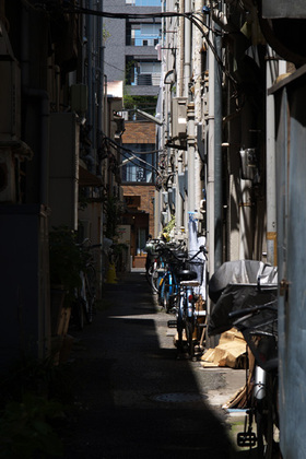 2007_p6167672