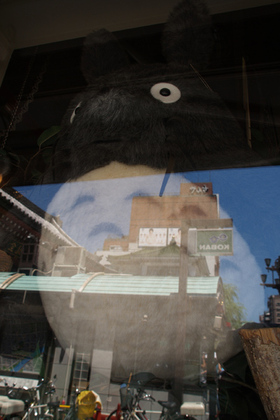 2007_p6167680