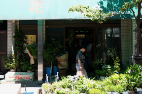 2007_p6167706