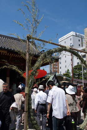 2007_p6177766