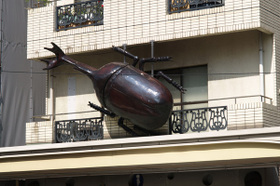 2007_p6177857