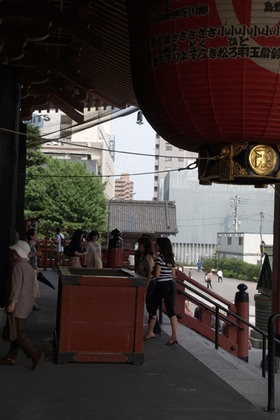 2007_p6288130