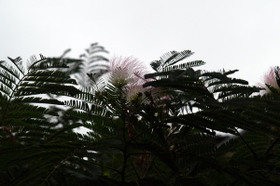 2007_p6308324