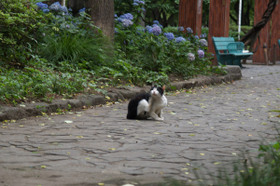 2007_p6308358
