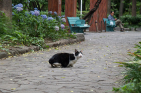 2007_p6308364