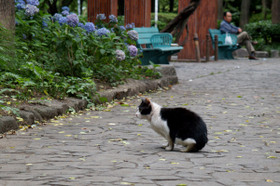 2007_p6308373