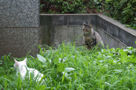 2007_p6308442