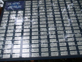 2007_p6308392