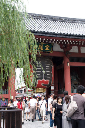 2007_p6308243