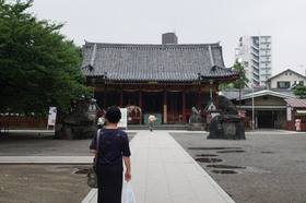 2007_p7038562