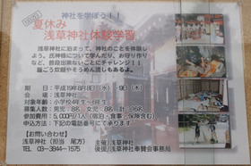 2007_p7038568