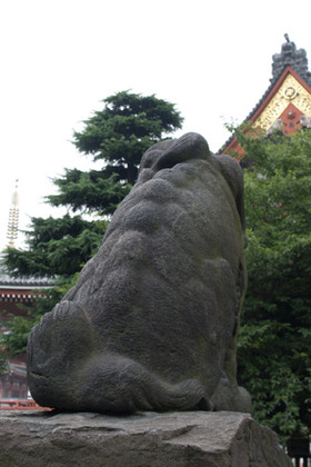 2007_p7038569