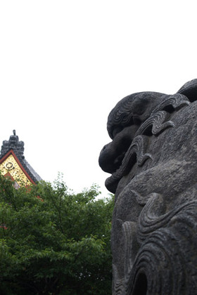 2007_p7038570