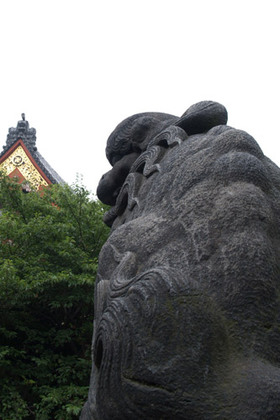 2007_p7038571