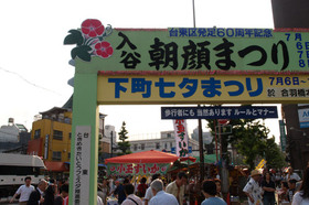 2007_p7068598
