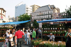 2007_p7068604