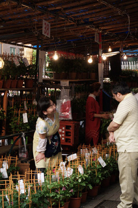 2007_p7068621