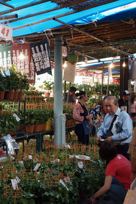 2007_p7068629