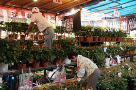 2007_p7068630