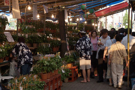 2007_p7068631