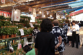 2007_p7068632