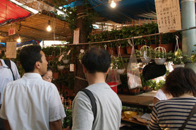 2007_p7068636