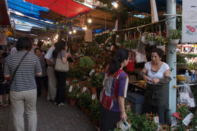 2007_p7068637