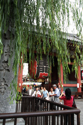 2007_p7038458